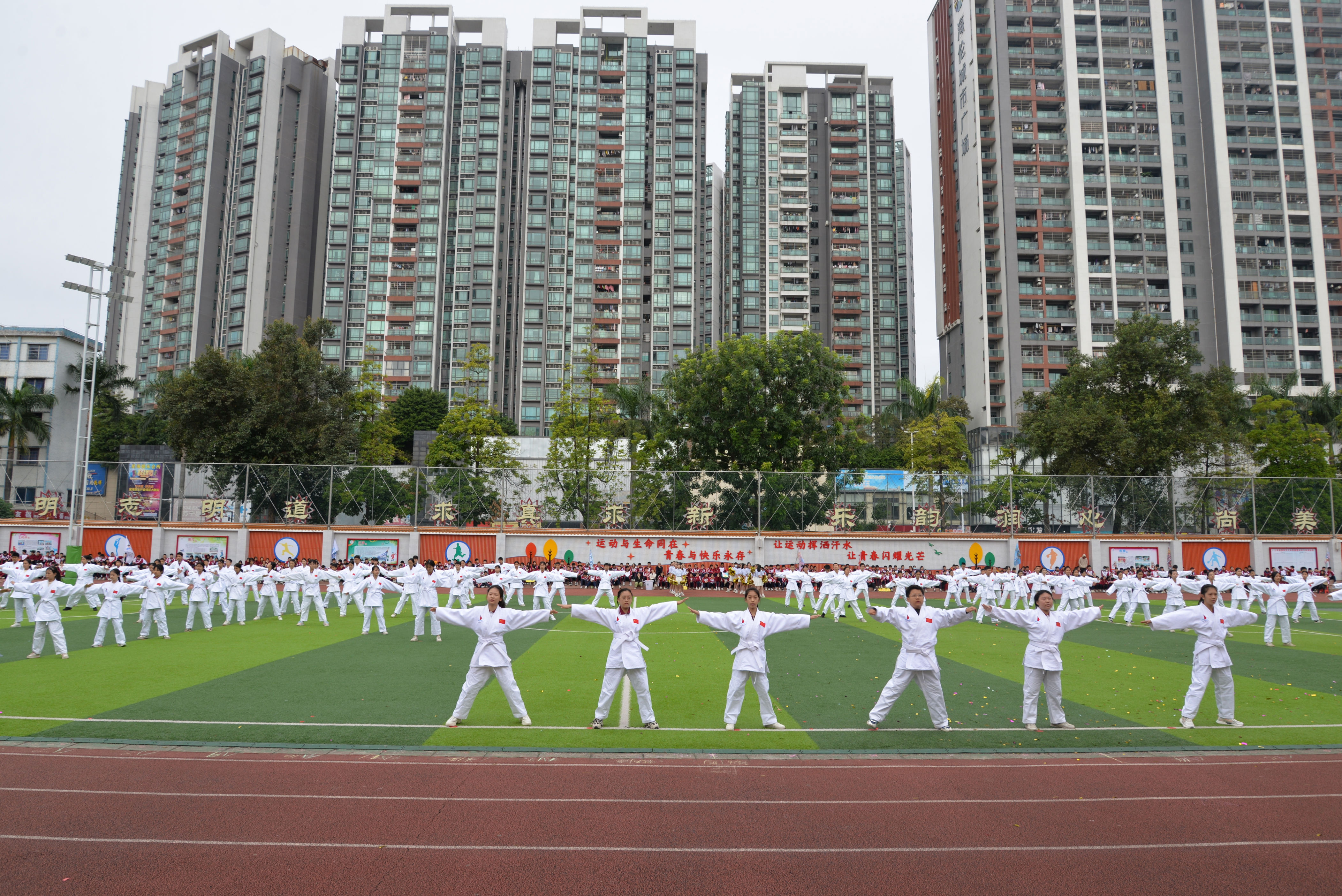 让柔道不仅, https, 家级 让柔道不仅, https, 家级